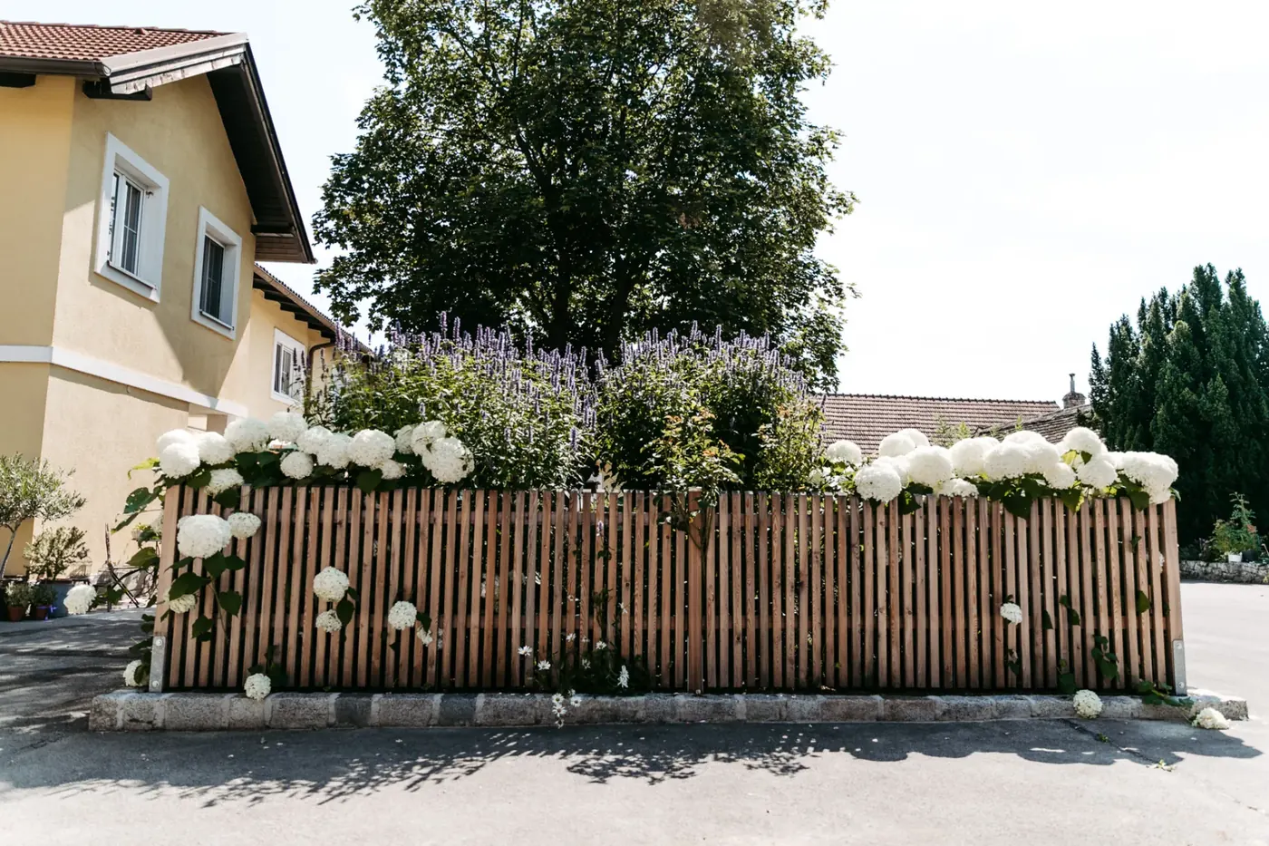 Hochbeet mit Holzverkleidung und weißen Hortensien vor einem Wohnhaus