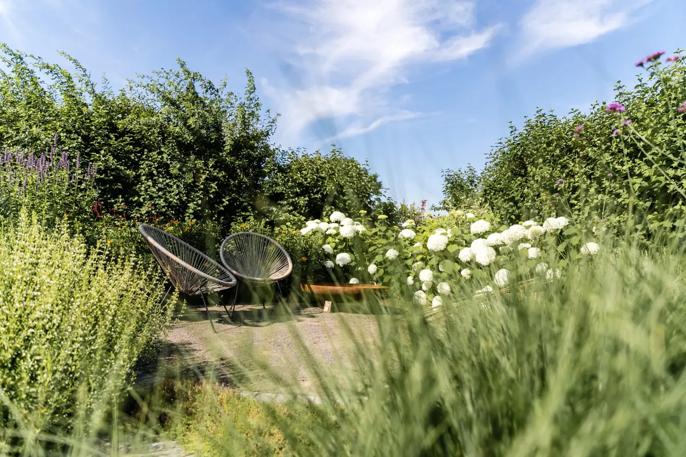 Fertig angelegter Garten mit Gräsern und Stauden
