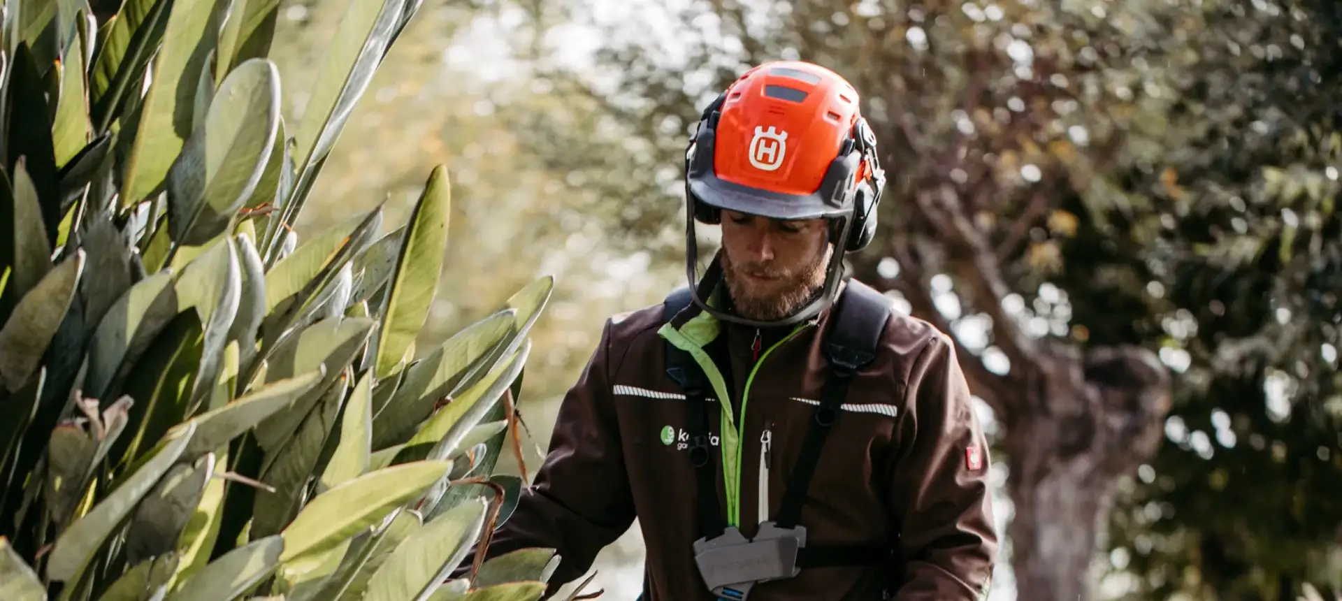 Mitarbeiter mit Motorsense bei der Gartenpflege